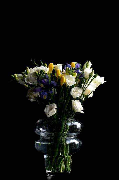 Cheerdeals studio flowers