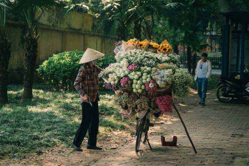 Premium long-stem roses