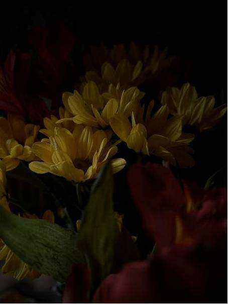 Vibrant birthday bouquet Christchurch
